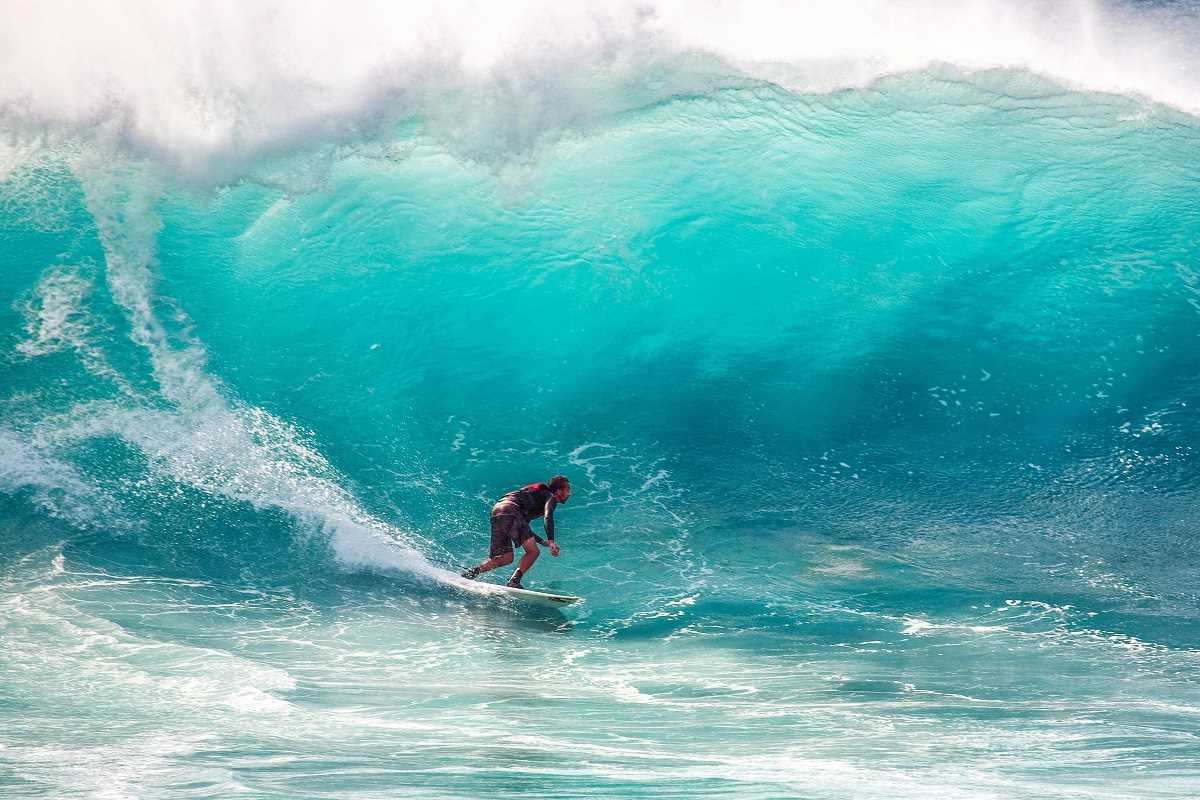Big-Wave Surfing Secrets: Training Regimens and Safety Tactics Used by Elite Riders